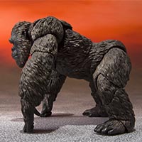 Kong 2021