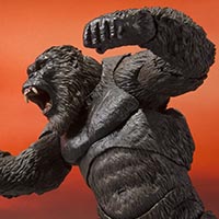 キングコング　フィギュア　2021 Amazon.com: TAMASHII NATIONS - Godzilla VS. Kong - Kong