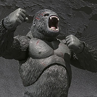 King Kong様 King Kong 2005