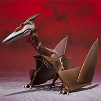 Rodan 2021 Second Form